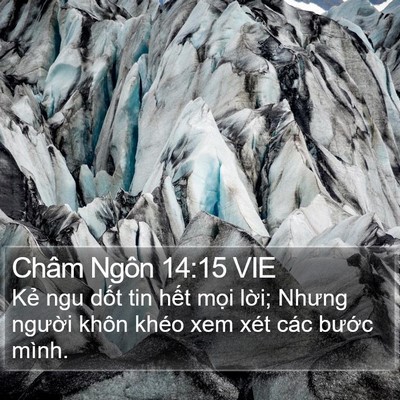 Châm Ngôn 14:15 VIE Bible Verse Image