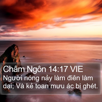 Châm Ngôn 14:17 VIE Bible Verse Image