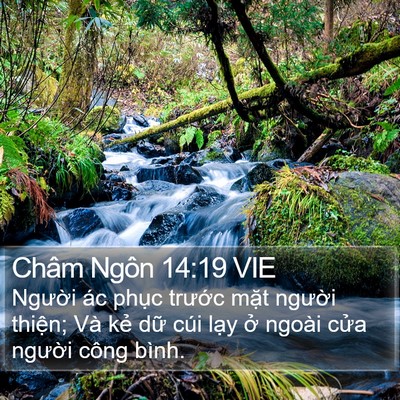 Châm Ngôn 14:19 VIE Bible Verse Image