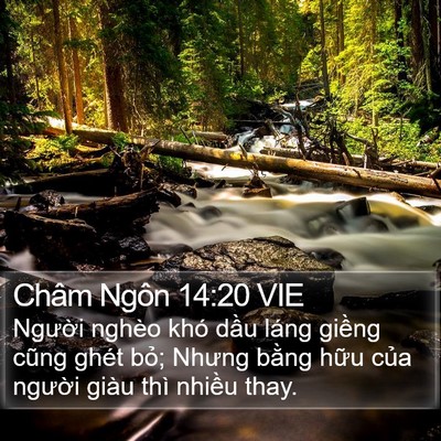 Châm Ngôn 14:20 VIE Bible Verse Image