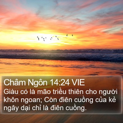 Châm Ngôn 14:24 VIE Bible Verse Image