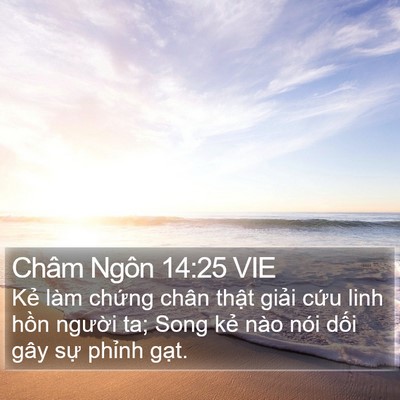 Châm Ngôn 14:25 VIE Bible Verse Image