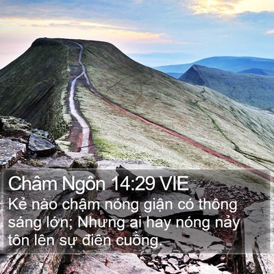 Châm Ngôn 14:29 VIE Bible Verse Image