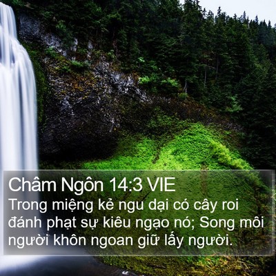 Châm Ngôn 14:3 VIE Bible Verse Image