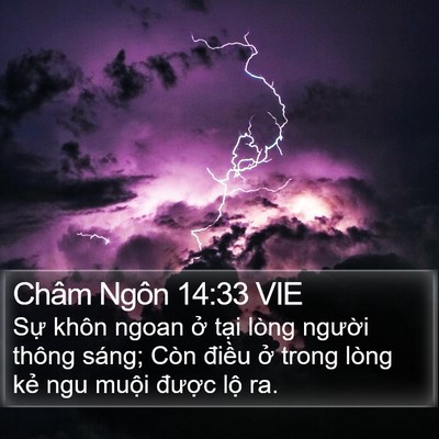 Châm Ngôn 14:33 VIE Bible Verse Image