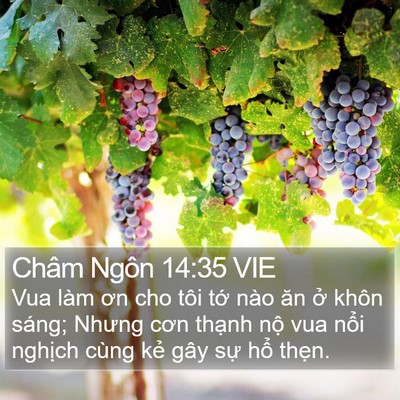 Châm Ngôn 14:35 VIE Bible Verse Image