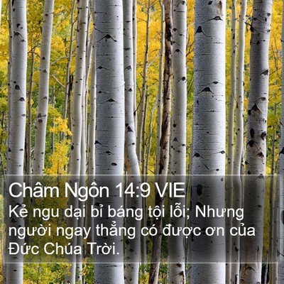 Châm Ngôn 14:9 VIE Bible Verse Image