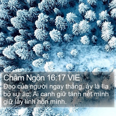 Châm Ngôn 16:17 VIE Bible Verse Image