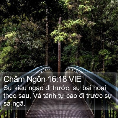Châm Ngôn 16:18 VIE Bible Verse Image