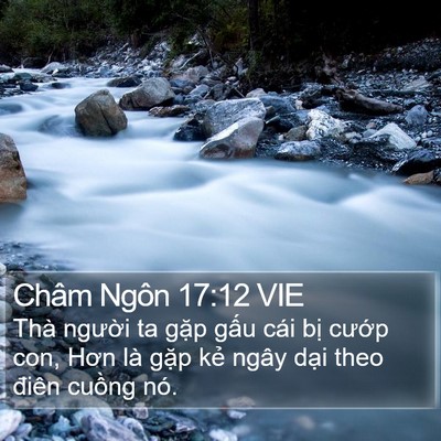 Châm Ngôn 17:12 VIE Bible Verse Image