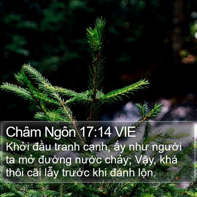 Châm Ngôn 17:14 VIE Bible Verse Image