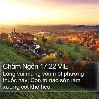 Châm Ngôn 17:22 VIE Bible Verse Image