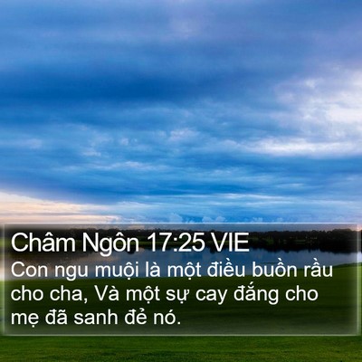 Châm Ngôn 17:25 VIE Bible Verse Image
