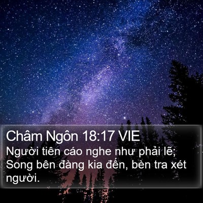 Châm Ngôn 18:17 VIE Bible Verse Image