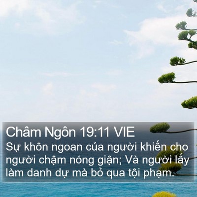 Châm Ngôn 19:11 VIE Bible Verse Image