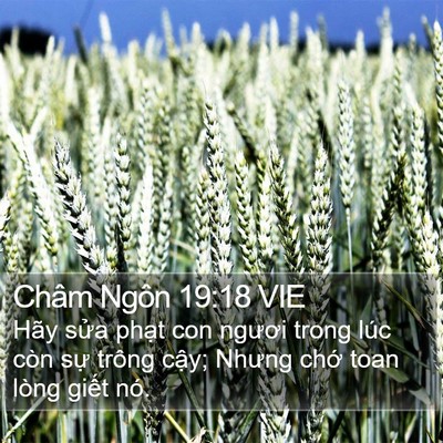 Châm Ngôn 19:18 VIE Bible Verse Image