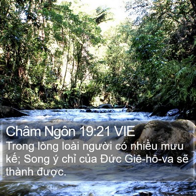 Châm Ngôn 19:21 VIE Bible Verse Image