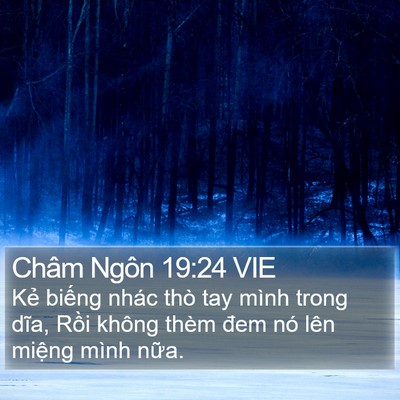 Châm Ngôn 19:24 VIE Bible Verse Image
