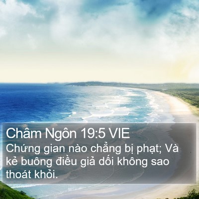 Châm Ngôn 19:5 VIE Bible Verse Image