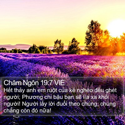 Châm Ngôn 19:7 VIE Bible Verse Image