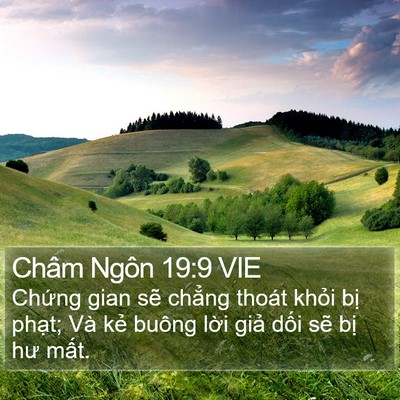 Châm Ngôn 19:9 VIE Bible Verse Image