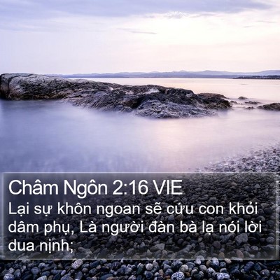 Châm Ngôn 2:16 VIE Bible Verse Image