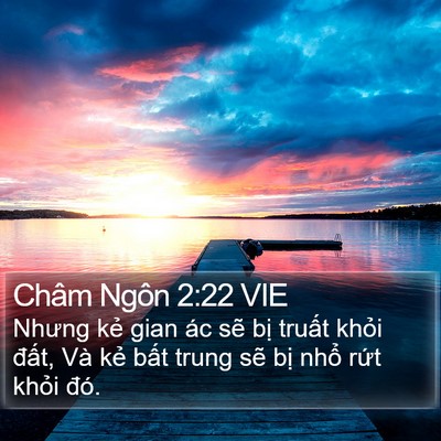 Châm Ngôn 2:22 VIE Bible Verse Image