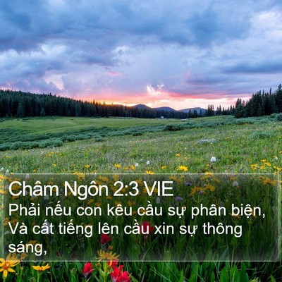 Châm Ngôn 2:3 VIE Bible Verse Image