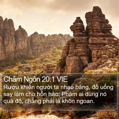 Châm Ngôn 20:1 VIE Bible Verse Image