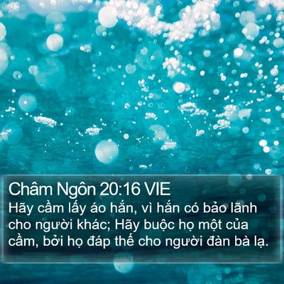 Châm Ngôn 20:16 VIE Bible Verse Image
