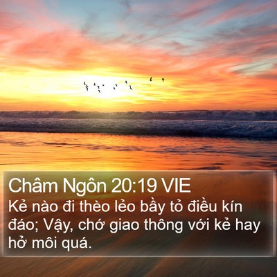 Châm Ngôn 20:19 VIE Bible Verse Image