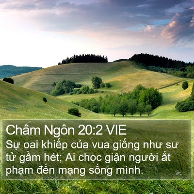 Châm Ngôn 20:2 VIE Bible Verse Image