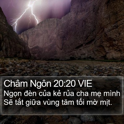 Châm Ngôn 20:20 VIE Bible Verse Image