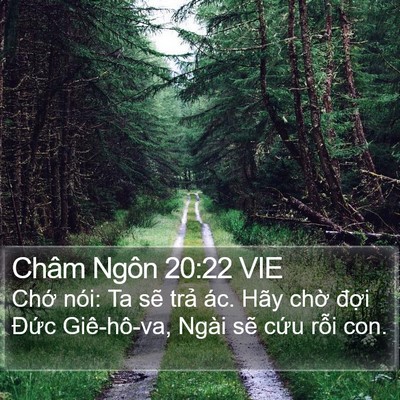 Châm Ngôn 20:22 VIE Bible Verse Image