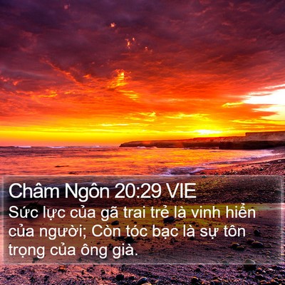Châm Ngôn 20:29 VIE Bible Verse Image