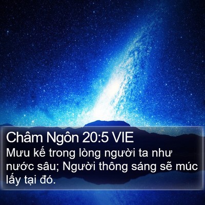 Châm Ngôn 20:5 VIE Bible Verse Image