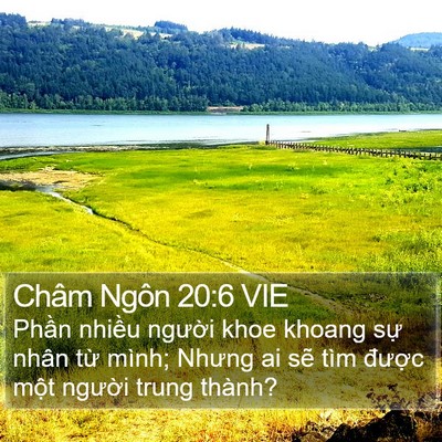 Châm Ngôn 20:6 VIE Bible Verse Image