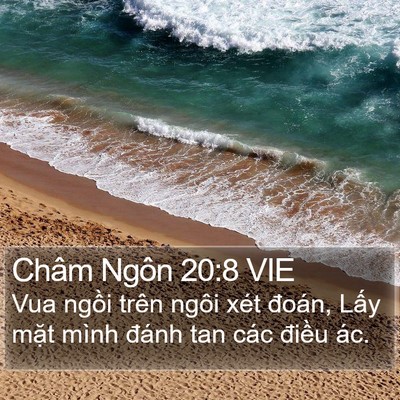 Châm Ngôn 20:8 VIE Bible Verse Image