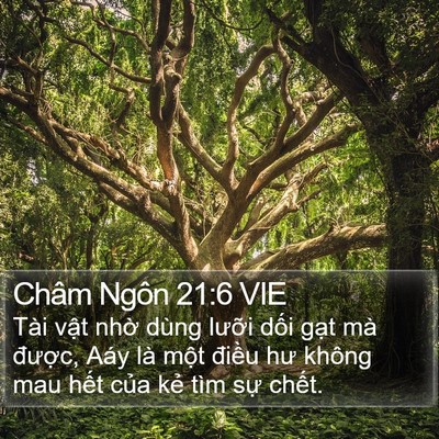 Châm Ngôn 21:6 VIE Bible Verse Image