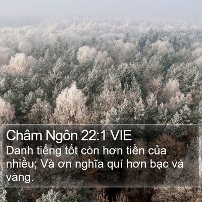 Châm Ngôn 22:1 VIE Bible Verse Image
