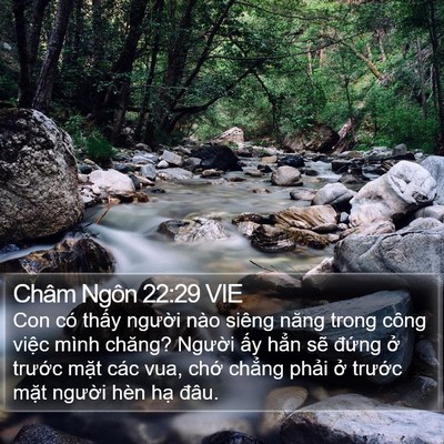 Châm Ngôn 22:29 VIE Bible Verse Image
