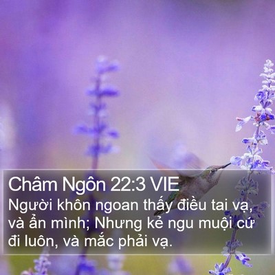 Châm Ngôn 22:3 VIE Bible Verse Image