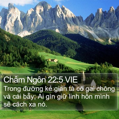 Châm Ngôn 22:5 VIE Bible Verse Image