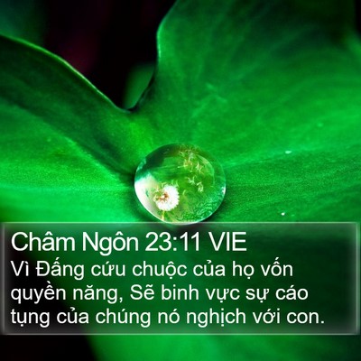 Châm Ngôn 23:11 VIE Bible Verse Image