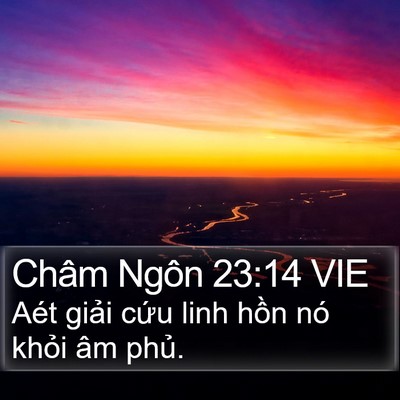 Châm Ngôn 23:14 VIE Bible Verse Image