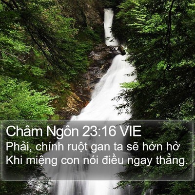 Châm Ngôn 23:16 VIE Bible Verse Image