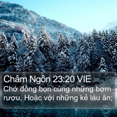 Châm Ngôn 23:20 VIE Bible Verse Image