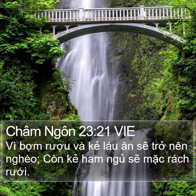 Châm Ngôn 23:21 VIE Bible Verse Image