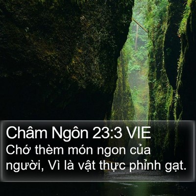 Châm Ngôn 23:3 VIE Bible Verse Image