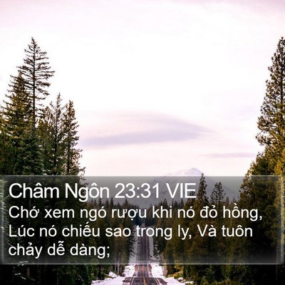 Châm Ngôn 23:31 VIE Bible Verse Image